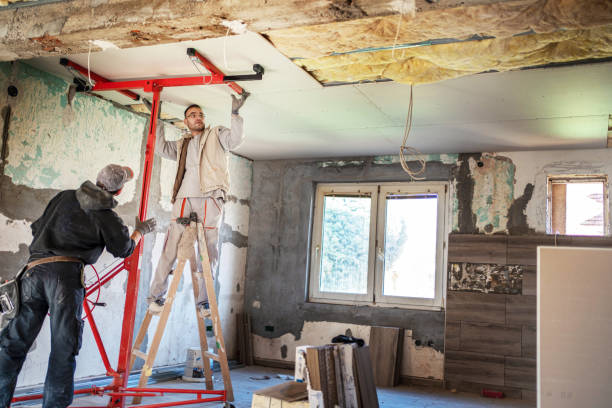 Best Professional Insulation Contractor  in Cajahs Mountain, NC
