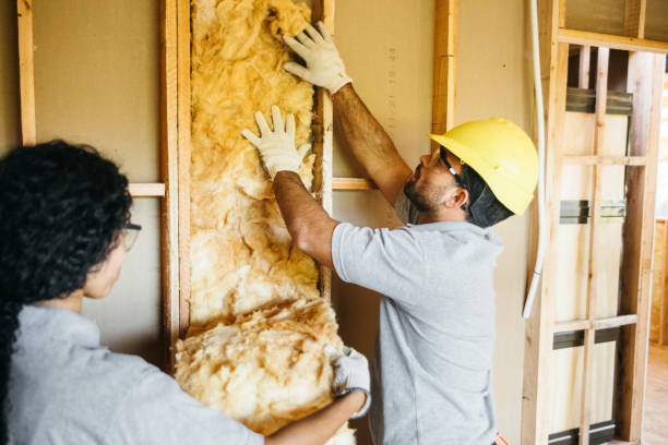 Best Home Insulation Services  in Cajahs Mountain, NC