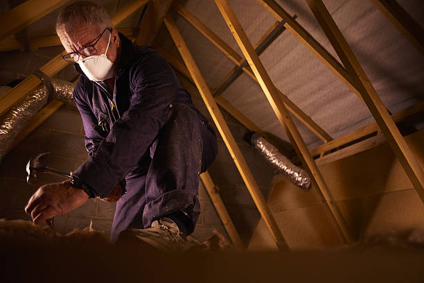 Best Cellulose Insulation  in Cajahs Mountain, NC